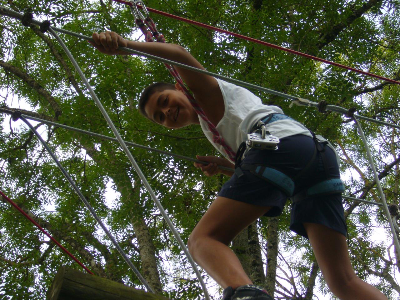 accrobranche