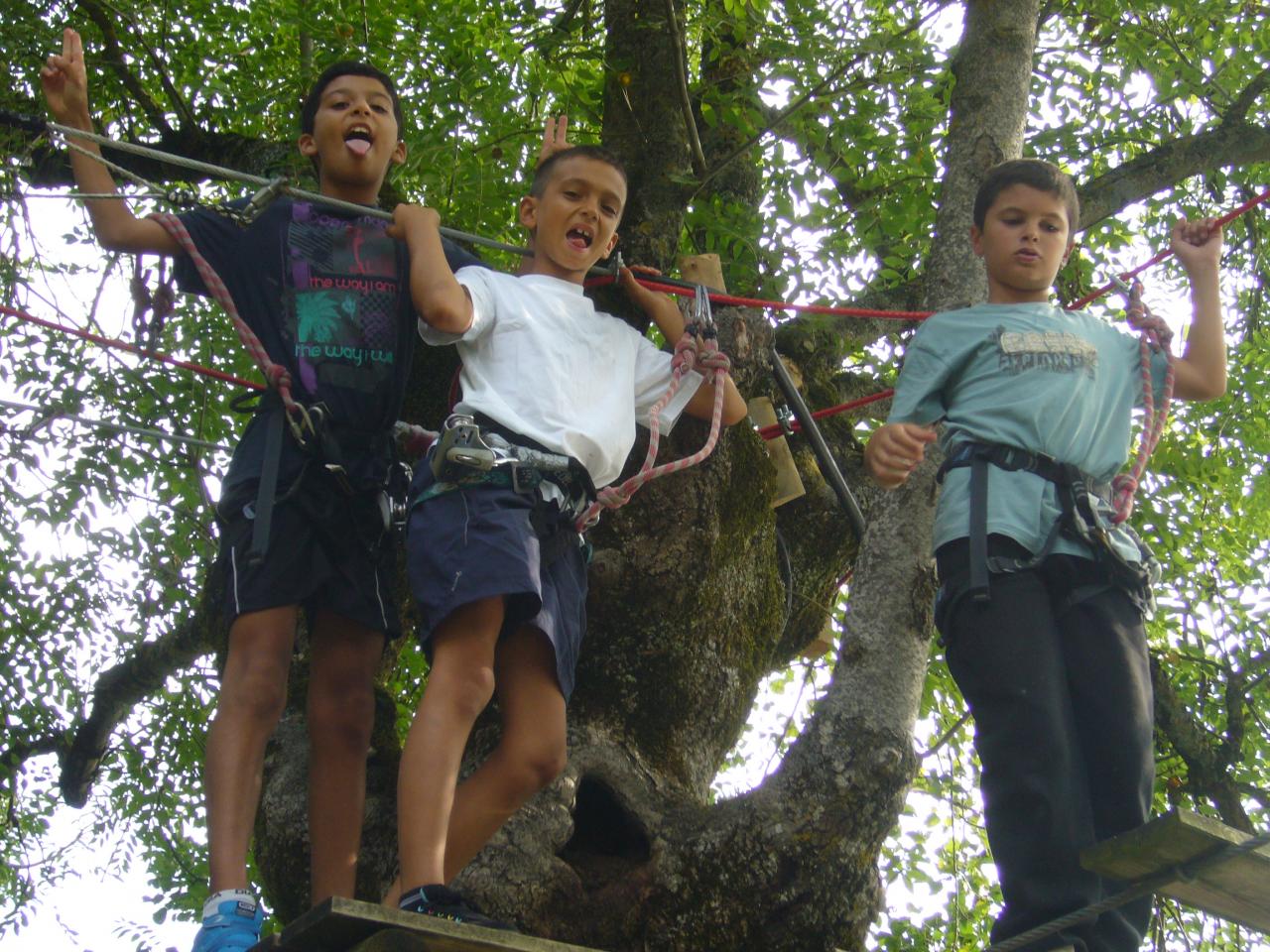 accrobranche