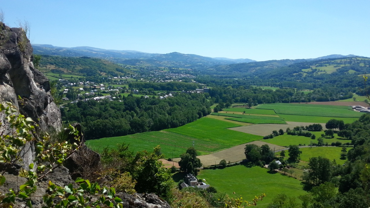 juillet 2013