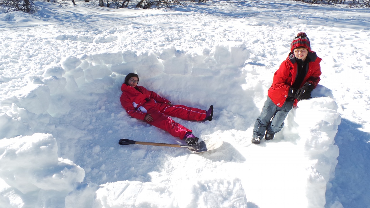 20150219_144048 - Copie 20150219_144048 - Copie