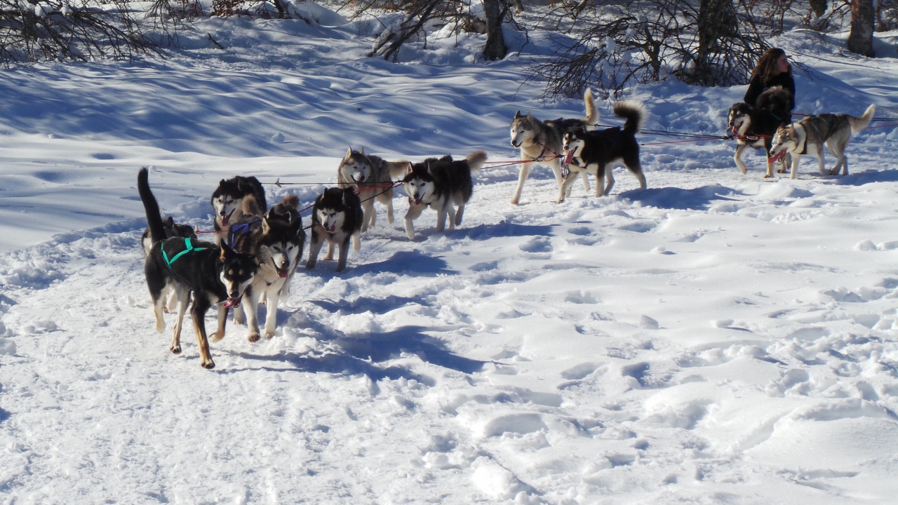 20150219_145906 20150219_145906