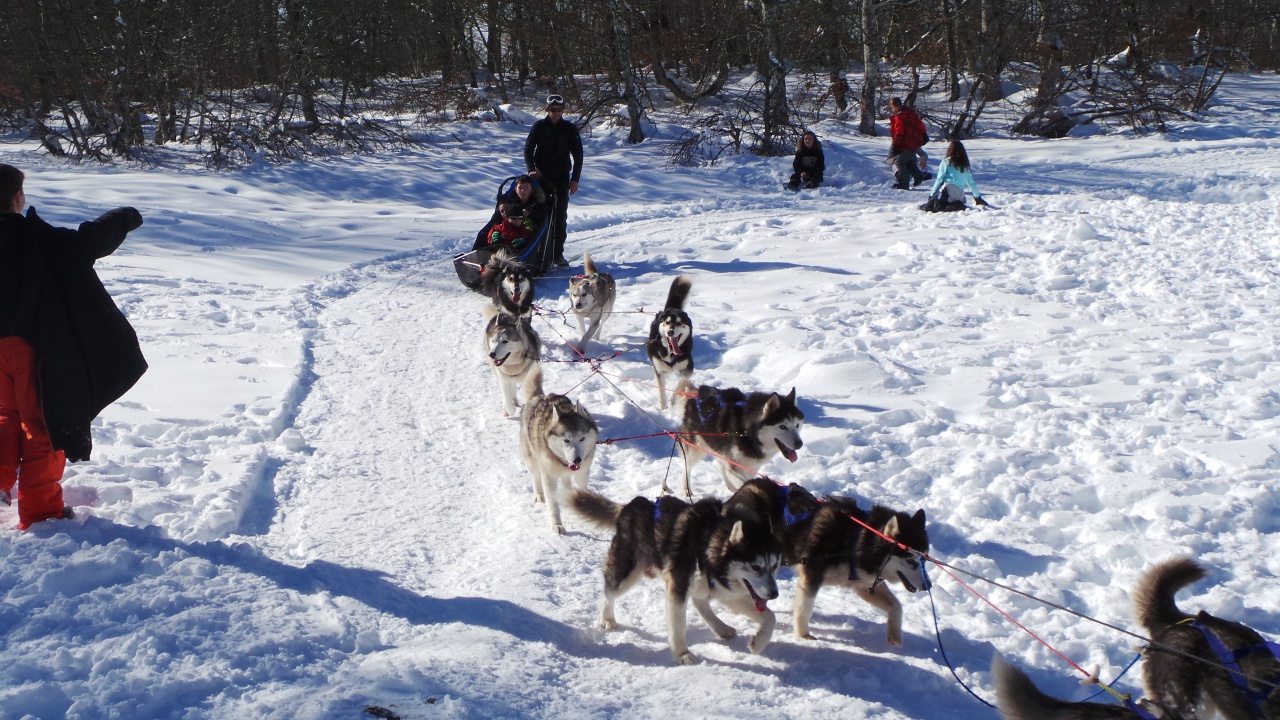 20150219_145911 20150219_145911