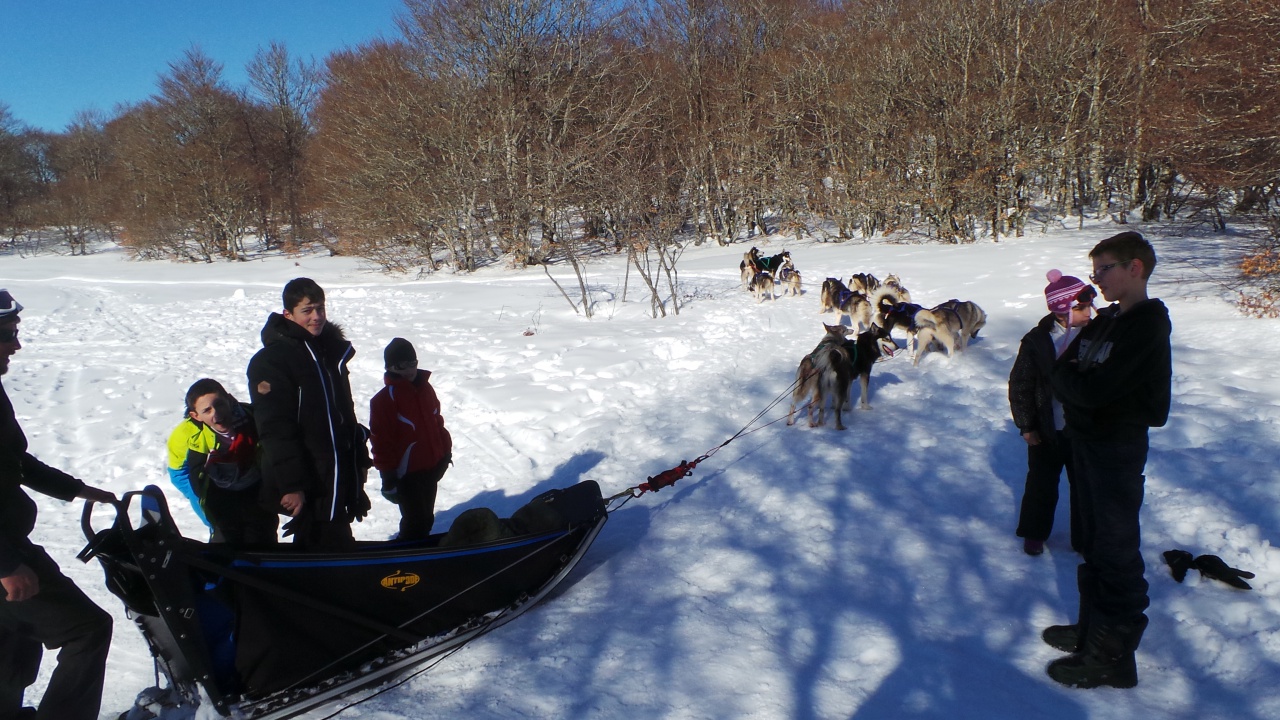 20150219_145945 20150219_145945