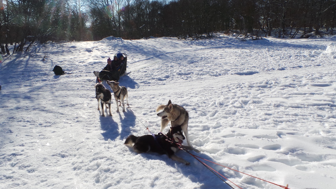 20150219_153946 20150219_153946