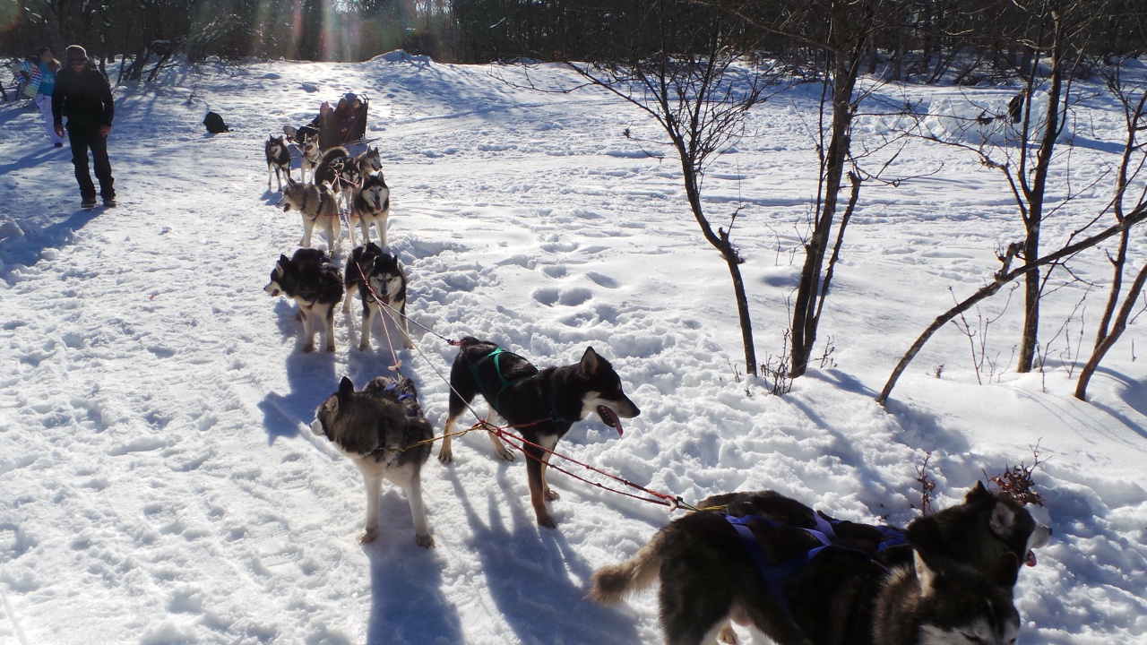 20150219_153959 20150219_153959