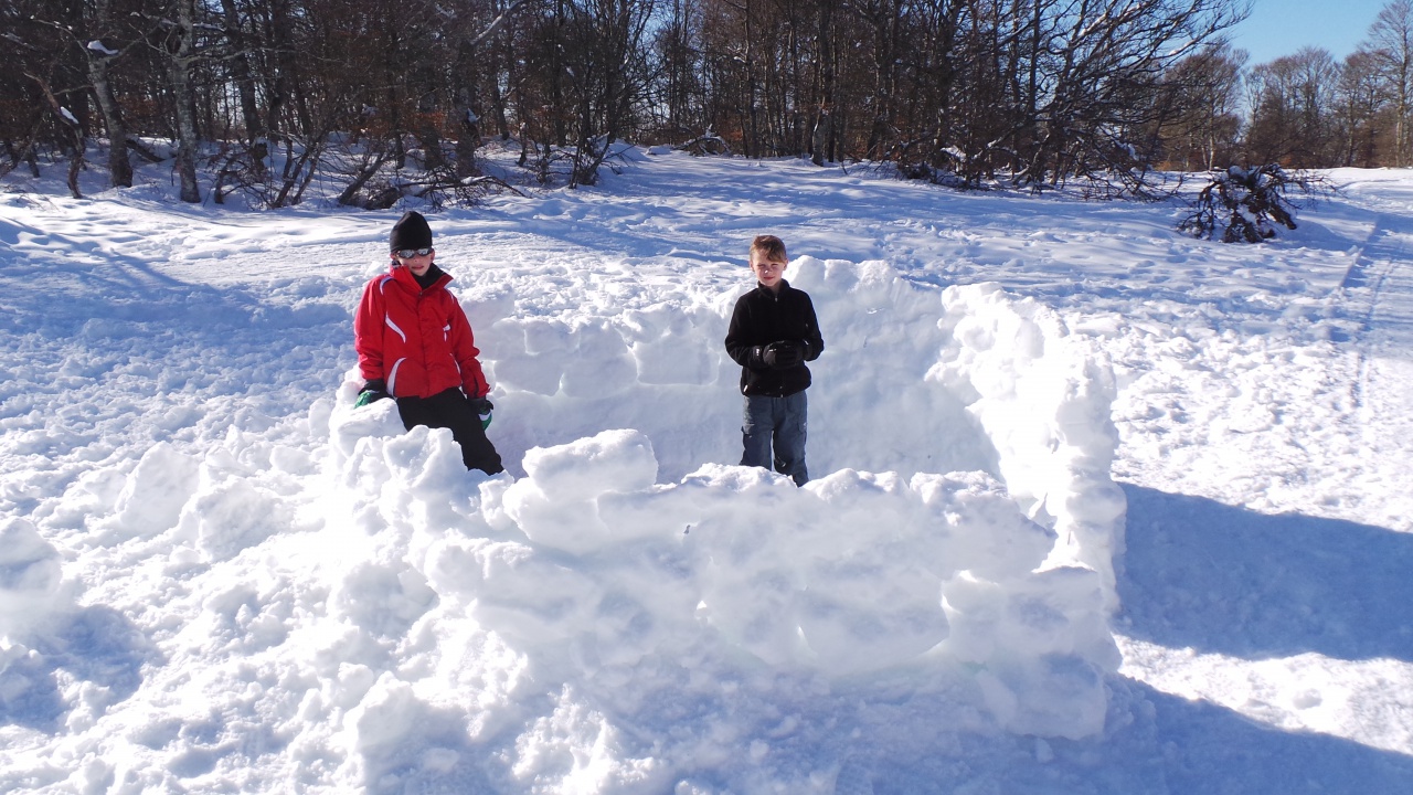 20150219_154425 20150219_154425