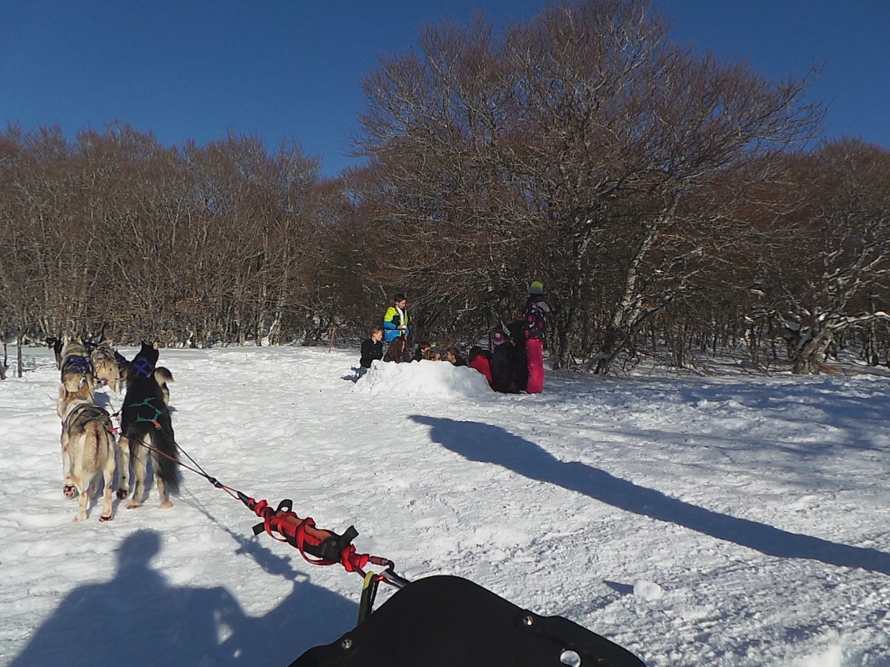 20150219_161130_1 20150219_161130_1