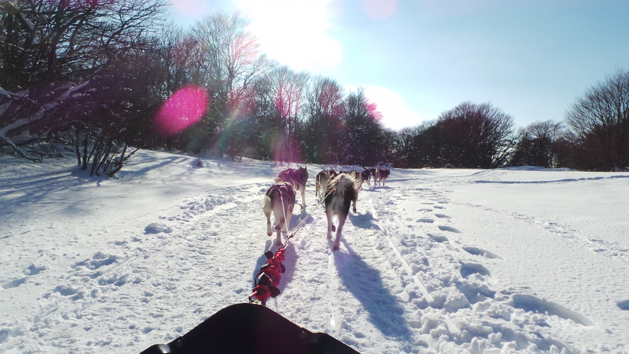 20150219_161137 20150219_161137