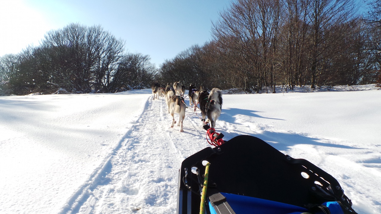 20150219_161144 20150219_161144