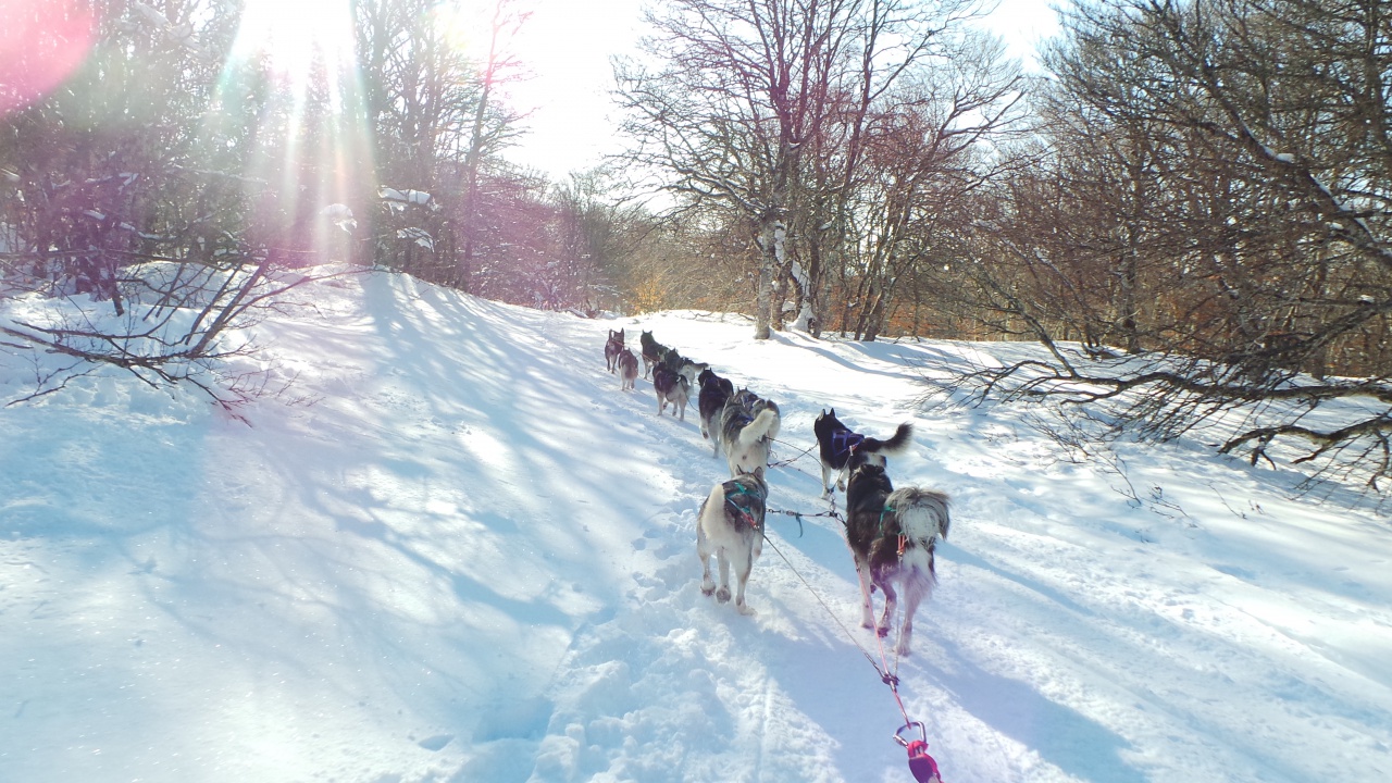 20150219_161155 20150219_161155