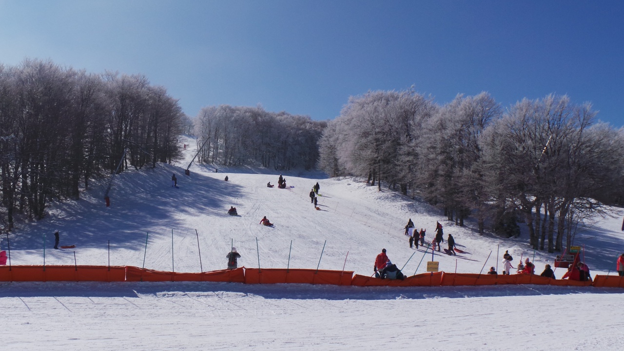 20150219_123940 20150219_123940