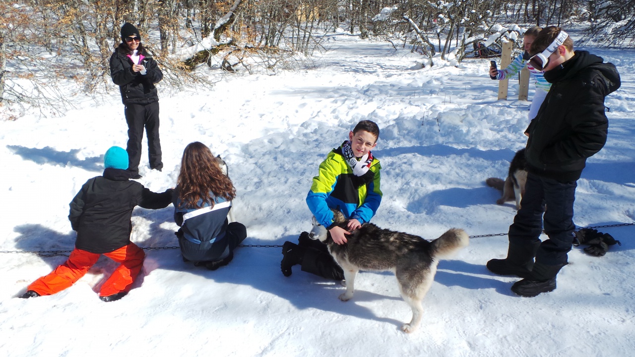 20150219_135152 - Copie