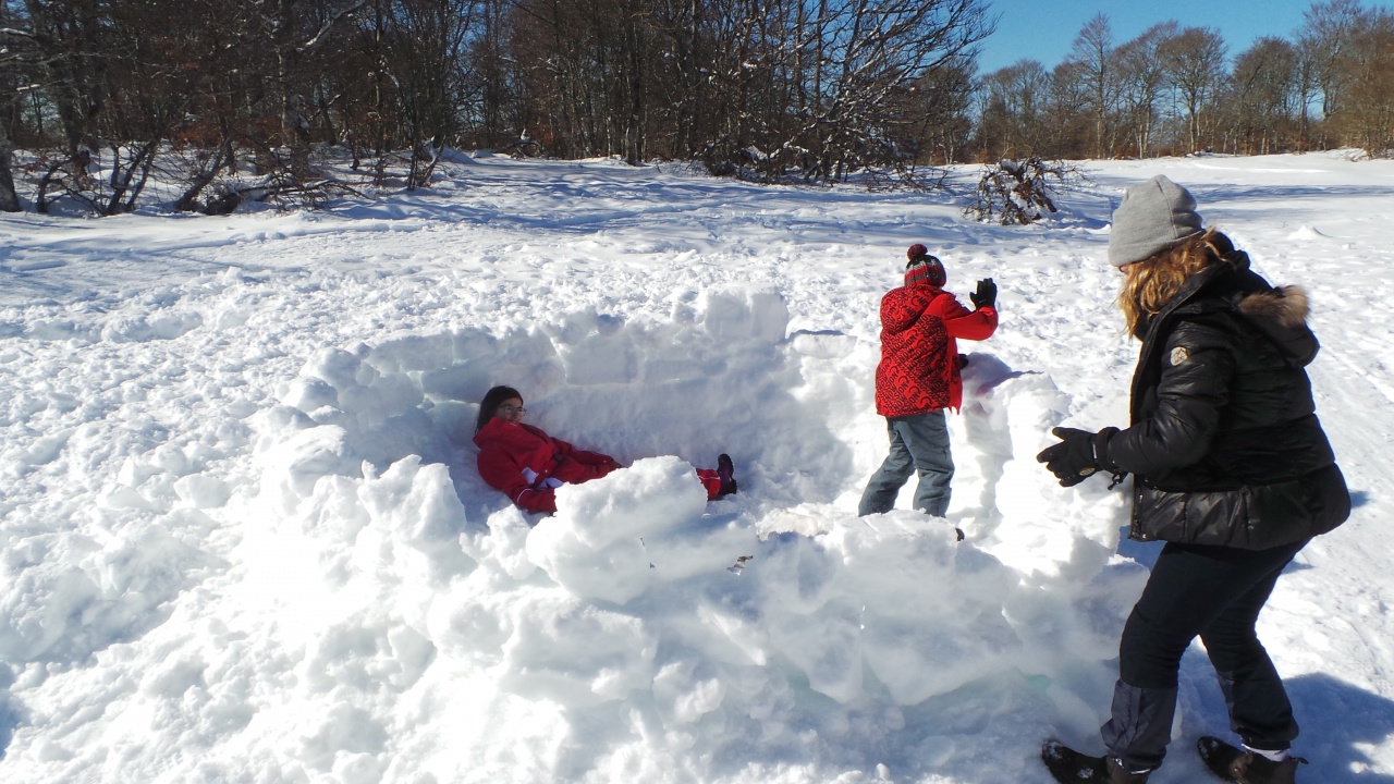 20150219_144036 20150219_144036